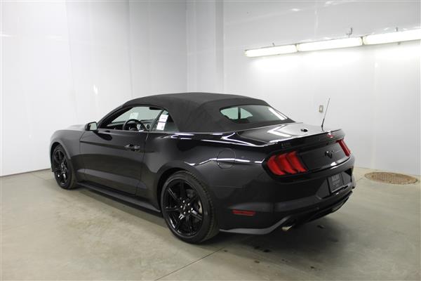Ford Mustang 2020 - Image #6