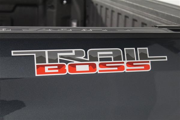 Chevrolet Silverado 1500 CUSTOM TRAIL BOSS CREW CAB 4X4 2020 - image #22